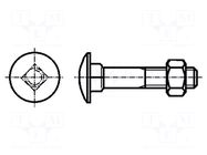 Screw; M6x65; 1; Head: button; square; steel; zinc; DIN 603; 18mm BOSSARD