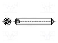 Screw; M4x6; 0.7; Head: without head; hex key; HEX 2mm; steel; zinc BOSSARD