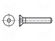 Screw; M10x30; 1.5; Head: countersunk; hex key; HEX 6mm; steel; zinc BOSSARD