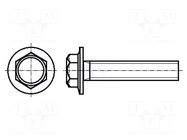 Screw; with flange; M6x12; 1; Head: hexagonal; A2 stainless steel BOSSARD