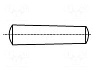 Cone stud; steel; BN 861; Ø: 2mm; L: 14mm; DIN 1; ISO 2339 BOSSARD