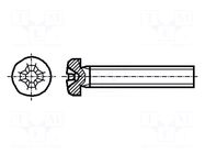 Screw; M5x60; 0.8; Head: cheese head; Phillips; PH2; steel; zinc BOSSARD