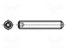 Screw; M6x12; 1; Head: without head; hex key; HEX 3mm; steel; zinc BOSSARD