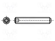 Screw; M3x4; 0.5; Head: without head; hex key; HEX 1,5mm; DIN 916 BOSSARD