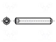Screw; M2.5x6; 0.45; Head: without head; hex key; HEX 1.3mm BOSSARD