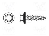 Screw; 6.5x19; Head: hexagonal; none; 9.5mm; hardened steel; zinc BOSSARD
