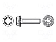 Screw; with flange; M8x30; 1.25; Head: hexagonal; steel; zinc BOSSARD