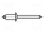 Rivet; aluminium; Rivet diam: 4.8mm; L.rivet: 15.2mm; BN 4537 BOSSARD