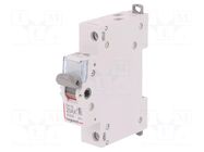 Switch-disconnector; Poles: 1; for DIN rail mounting; 20A; 250VAC LEGRAND
