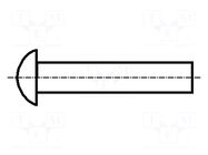 Rivet; copper; Rivet diam: 4mm; L.rivet: 10mm; BN 126; DIN 660 BOSSARD