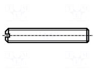 Screw; M2.5x4; 0.45; Head: without head; slotted; 0.4mm; steel; zinc BOSSARD