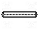 Screw; M6x30; 0.8; Head: without head; slotted; 1mm; steel; zinc BOSSARD