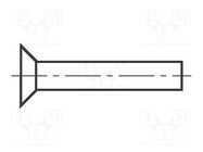 Rivet; aluminium; Rivet diam: 3mm; L.rivet: 6mm; BN 318 BOSSARD