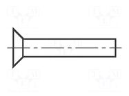 Rivet; aluminium; Rivet diam: 3mm; L.rivet: 6mm; BN 318 BOSSARD