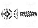 Screw; for plastic; 3.5x10; Head: button; Phillips; PH2; steel; zinc BOSSARD