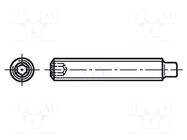 Screw; M5x20; 0.8; Head: without head; hex key; HEX 2.5mm; steel BOSSARD