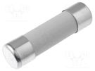 Fuse: fuse; gR; 20A; 690VAC; ceramic,cylindrical,industrial DF ELECTRIC