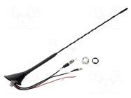 Antenna; car top; 0.41m; 25dBi; AM,DAB,FM; universal; black PER.PIC.