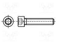 Screw; M3x10; 0.5; Head: cheese head; hex key; HEX 2,5mm; steel BOSSARD