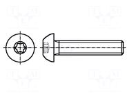 Screw; M2.5x8; 0.45; Head: button; Torx®; TX08; steel; zinc; ISO 7380 BOSSARD