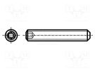 Screw; M6x40; 1; Head: without head; hex key; HEX 3mm; steel BOSSARD