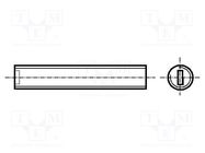 Screw; M4x12; 0.7; Head: without head; slotted; 0,6mm; polyamide BOSSARD
