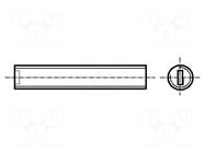 Screw; M3x10; 0.5; Head: without head; slotted; 0.5mm; polyamide BOSSARD