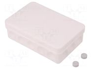 Enclosure: junction box; X: 85mm; Y: 130mm; Z: 37mm; IP55; white; 2K SPELSBERG