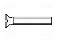 Screw; M3x6; 0.5; Head: countersunk; slotted; 0.8mm; polyamide BOSSARD