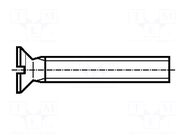 Screw; M5x10; 0.8; Head: countersunk; slotted; 1.2mm; polyamide BOSSARD
