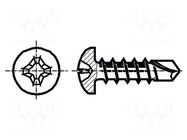 Screw; 3.5x35; Head: cheese head; Phillips; PH2; steel; zinc BOSSARD