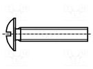 Screw; M5x30; 0.8; Head: button; slotted; plastic; Strength cl: 6.6 BOSSARD