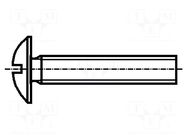 Screw; M5x30; 0.8; Head: button; slotted; plastic; Strength cl: 6.6 BOSSARD
