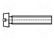 Screw; M8x45; 1.25; Head: cheese head; slotted; 2mm; steel; zinc BOSSARD