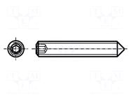 Screw; M5x25; 0.8; Head: without head; hex key; HEX 2.5mm; steel BOSSARD