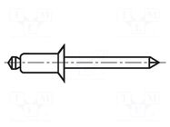 Rivet; aluminium; Rivet diam: 3.2mm; L.rivet: 11mm; BN 925 BOSSARD