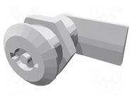 Lock; polyamide; 24mm; Kind of insert bolt: double-bit insert ELESA+GANTER