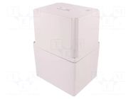 Enclosure: multipurpose; X: 135mm; Y: 170mm; Z: 241mm; INDUSTRIAL ELEKTRO-PLAST NASIELSK