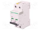 Circuit breaker; 400VAC; Inom: 1A; Poles: 2; for DIN rail mounting SCHNEIDER ELECTRIC