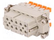 Connector: HDC; contact insert; female; CSAH; PIN: 10; 16A; 600V ILME