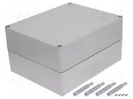 Enclosure: multipurpose; X: 253mm; Y: 313mm; Z: 165mm; INDUSTRIAL ELEKTRO-PLAST NASIELSK