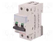 Circuit breaker; 400VAC; Inom: 1A; Poles: 2; for DIN rail mounting LEGRAND