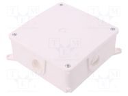 Enclosure: junction box; X: 134mm; Y: 134mm; Z: 50mm; wall mount ELEKTRO-PLAST NASIELSK