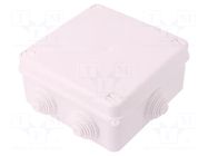 Enclosure: junction box; X: 133mm; Y: 133mm; Z: 64mm; wall mount ELEKTRO-PLAST NASIELSK
