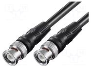 Cable; 5m; BNC male,both sides; black; 50Ω GOOBAY