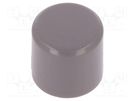 Button; grey; Mat: polyamide; PVA series C&K