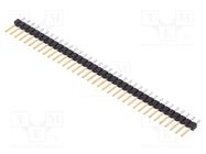 Pin header; pin strips; BERGSTIK; male; PIN: 36; straight; 2.54mm Amphenol Communications Solutions