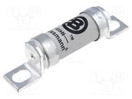 Fuse: fuse; ultra rapid; 100A; 690VAC; 500VDC; ceramic,industrial BUSSMANN