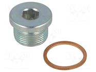 Hexagon head screw plug; with seal; Thread: M22; Gasket: copper ELESA+GANTER
