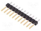 Pin header; pin strips; BERGSTIK; male; PIN: 11; straight; 2.54mm Amphenol Communications Solutions